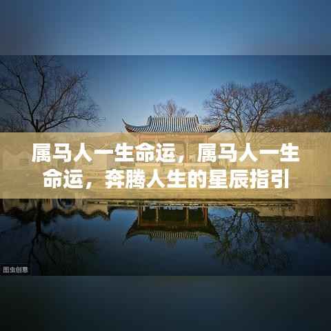 属马人的命运轨迹,星辰指引下的奔腾人生