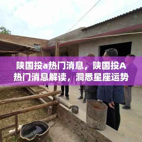 陕国投A热门消息解读,洞悉星座运势与未来展望