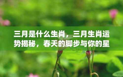 三月生肖运势揭秘,春天的脚步与星座运势同行