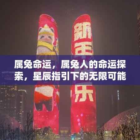 星辰指引下的属兔命运探索,无限可能与未来展望