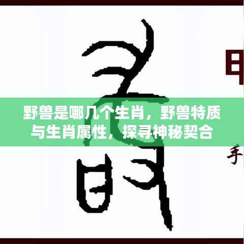 揭秘生肖中的野兽属性,生肖与野兽特质的神秘契合之旅