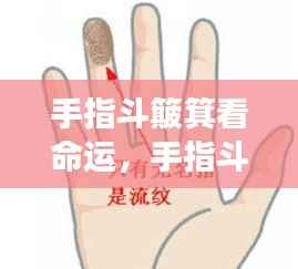 揭秘手指斗簸箕与手相中的命运密码,命运解读新视角