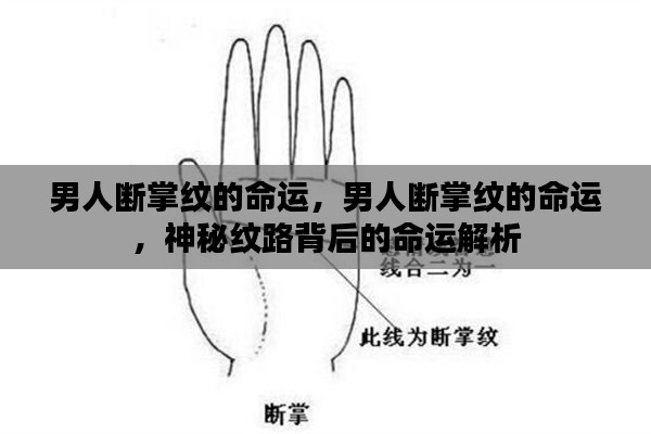 男人断掌纹与命运,神秘纹路的解读与解析