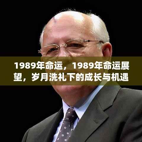 岁月洗礼下的成长与机遇,1989年的命运展望