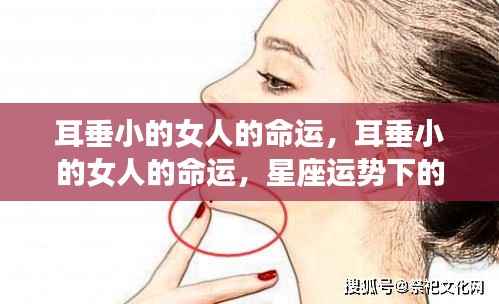 鞭驽策蹇 第5页