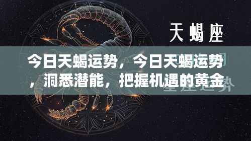 今日天蝎运势详解,洞悉潜能,把握黄金机遇的时刻