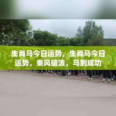生肖马今日运势大揭秘,乘风破浪,马到成功!