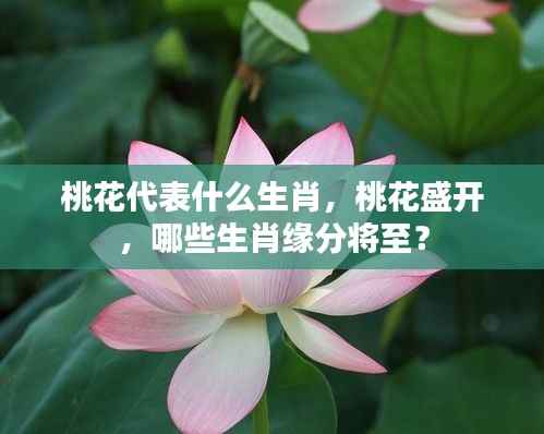 桃花盛开与生肖缘分,揭秘桃花代表的生肖及缘分将至的生肖们