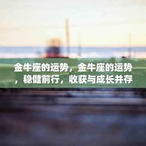 金牛运势展望，稳健前行，收获与成长双丰收