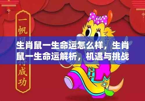 生肖鼠命运解析,机遇与挑战并存的一生旅程