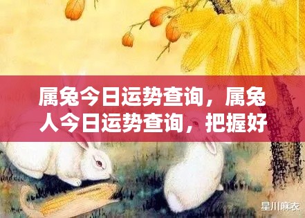 属兔今日运势大揭秘，把握好运，开启幸运一天！
