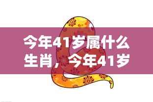 今年41岁属什么生肖？运势详解