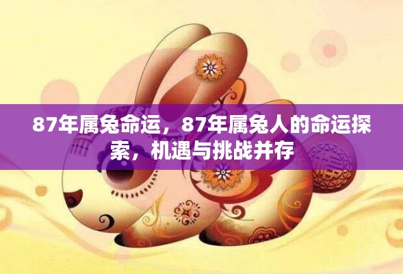 1987年属兔人的命运探索,机遇与挑战并存