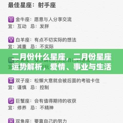 二月份星座运势大解析，爱情、事业与生活多重维度探索