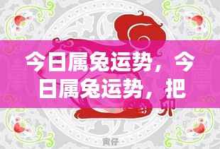 今日属兔运势详解，把握机遇，顺风顺水前行