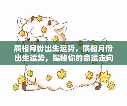 揭秘属相月份出生运势,洞悉命运走向的奥秘