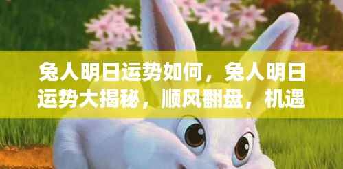 兔人明日运势揭秘，机遇与挑战并存，顺风翻盘的可能性分析