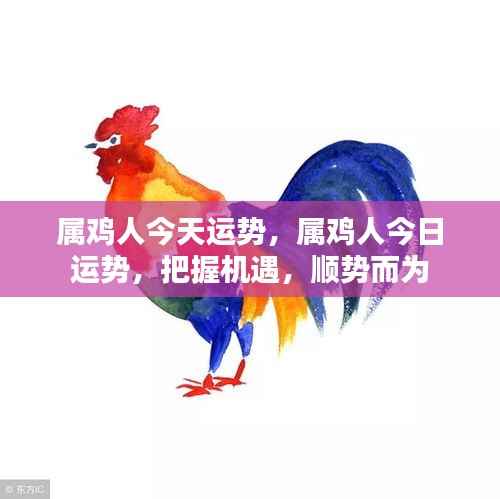 属鸡人今日运势，把握机遇，顺势而为的幸运指南