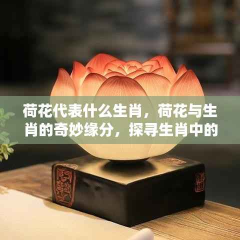 荷花与生肖的奇妙缘分,探寻荷花代表的生肖印记