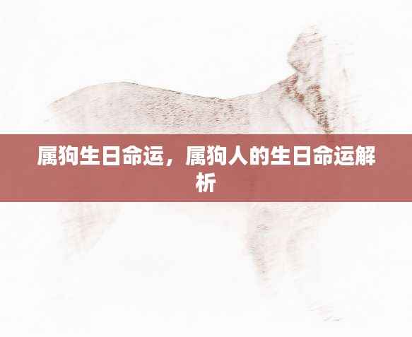 属狗人的生日命运详解,生肖狗的生命磁场解析