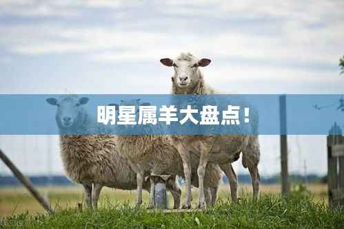 明星属羊大盘点!