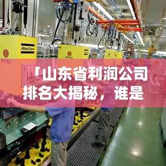 「山东省利润公司排名大揭秘，谁是盈利巨头？」解析附后