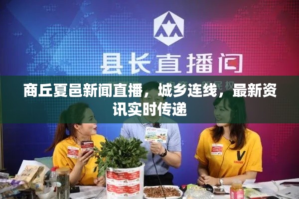 商丘夏邑新闻直播,城乡连线,最新资讯实时传递
