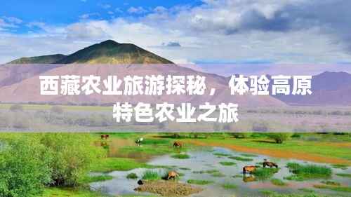西藏农业旅游探秘,体验高原特色农业之旅