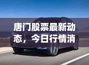唐门股票最新动态,今日行情消息一网打尽