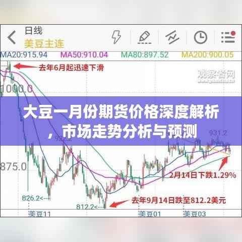 大豆一月份期货价格深度解析,市场走势分析与预测