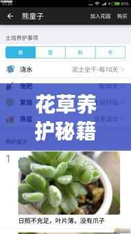 花草养护秘籍,零基础到精通,百度助你轻松掌握!