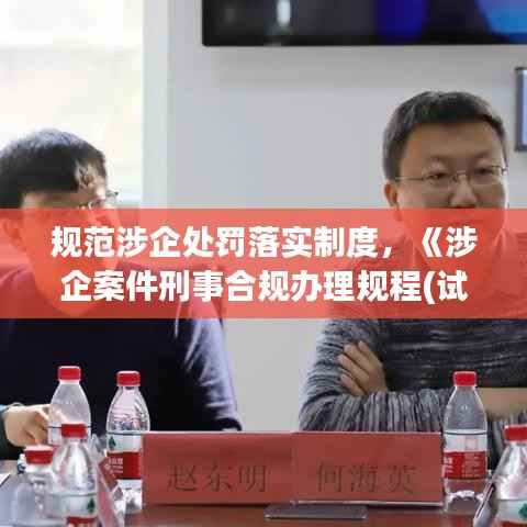 规范涉企处罚落实制度,《涉企案件刑事合规办理规程(试行)》