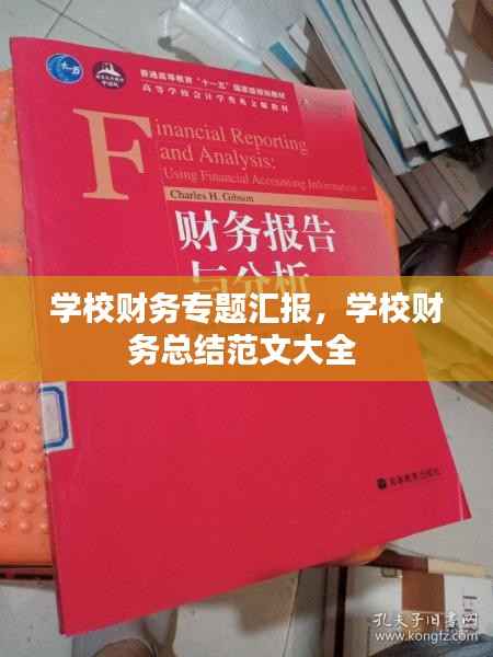学校财务专题汇报,学校财务总结范文大全