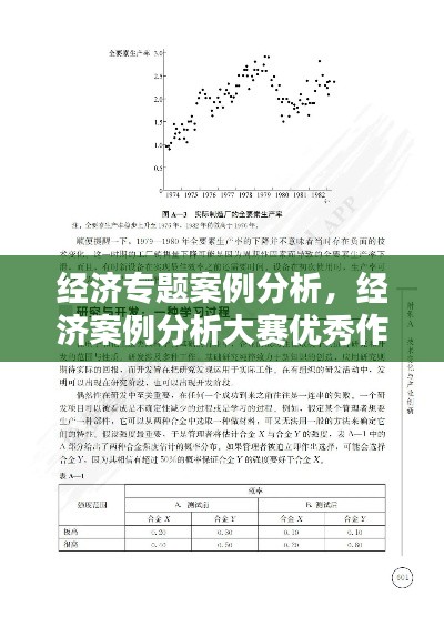 经济专题案例分析,经济案例分析大赛优秀作品