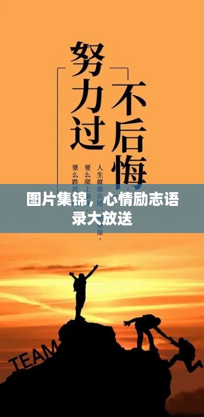 图片集锦,心情励志语录大放送