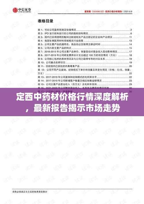 定西中药材价格行情深度解析，最新报告揭示市场走势